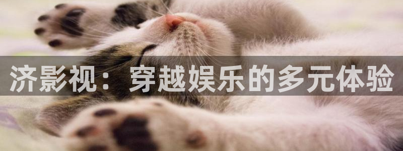西瓜网在线观看免费