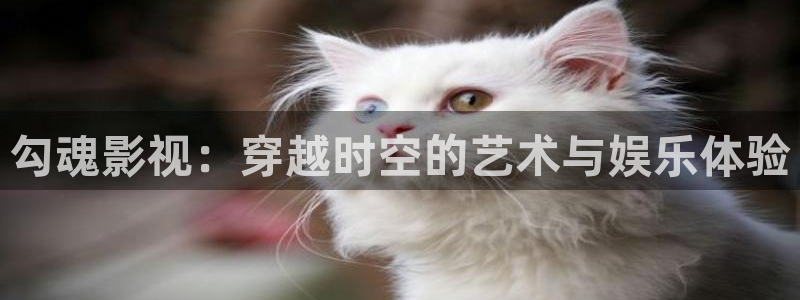 西瓜播放器在线电影天狼