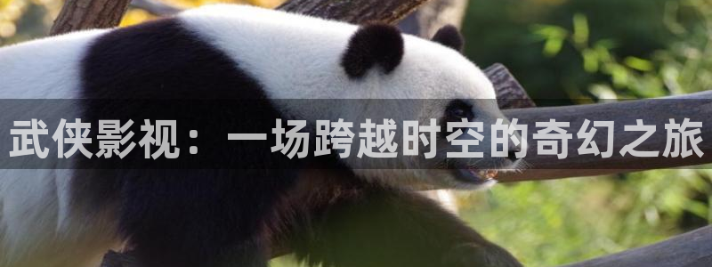 西瓜动漫在线观看