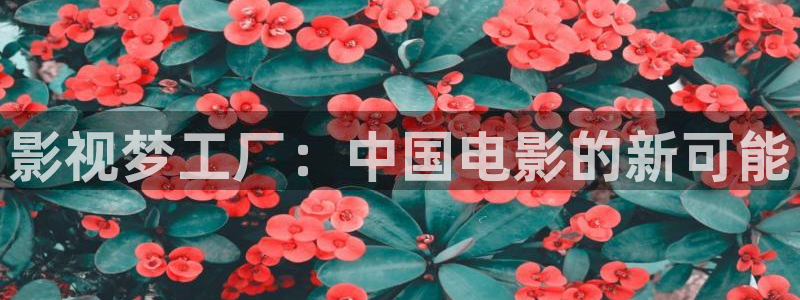 西瓜视