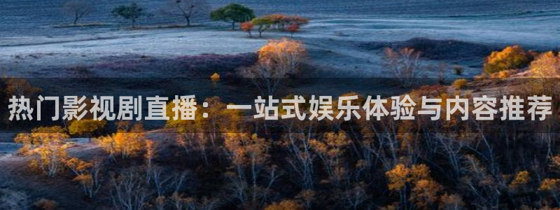 韩国电影西瓜